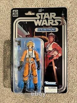 Star Wars Celebration 2017 Luke Skywalker X-Wing Exclusive Hasbro Black Series